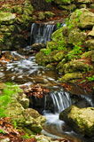 Creek+with+small+waterfalls+in+japanese+zen+garden+