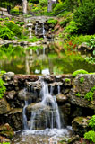 Cascading+waterfall+and+pond+in+japanese+garden+