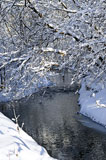 Winter+landscape+with+snow+covered+trees+and+river+