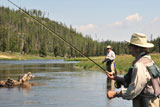 Active+senior+couple+wading+in+the+Firehole+River+%28Yellowstone+National+Park%29+and+fly-fishing+for+trout.+