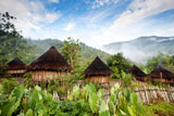 A+traditional+hut+in+an+Indonesian+mountain+village+