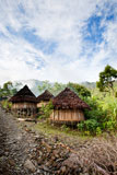 A+traditional+mountain+village+in+Papua%2C+Indonesia.+