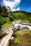A+rapid+flowing+stream+in+tropical+mountains+