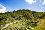A+tropical+mountain+landscape+in+Papua%2C+Indonesia+