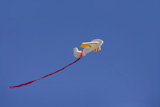 Airplane+kite+flying+on+blue+sunny+sky+with+red+tail
