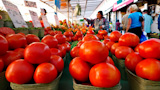 Freshly+grown+tomatoes+on+display+at+a+farmer%27s+market.