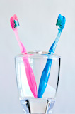 Couple+of+pink+and+blue+toothbrushes+in+toothbrush+holder.
