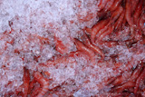 ice+and+mediterranean+shrimp+on+market+pattern+background