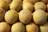 yellow+melon+fruits+market+stacked+rows+sunny+day