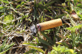 cigarette+fire+hazard+on+forest+grass+closeup+detail