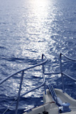 sport+motorboat+bow+blue+sea+ocean+background