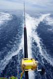 fishing+big+game+rod+and+reel+on+boat+wake+prop+wash