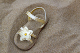 golden+star+sandal+buried+in+summer+beach+sand+vacation+metaphor