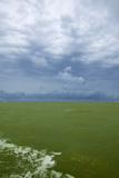 Green+Atlantic+waters+on+Senegal+Africa+coast+