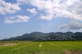 Beautiful+rice+fields+wetlands++mountain+