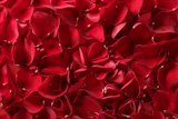 Red+rose+petals+texture+background%2C+transparent+flowers