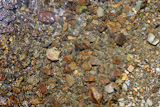 Brown+river+stone+bottom+background+texture+with+water+reflexion