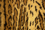 Jaguar+leopard+fantasy+fabric+fur+texture+background