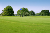 Beautigul+Golf+green+grass+sport+field+in+Houston+Texas