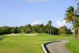 Miami+Key+Biscayne+Golf+tropical+green+grass+field+palm+trees+++