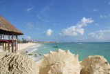 sea+shells+in+Playa+del+Carmen+Quintana+Roo+Mexico+Riviera+Maya