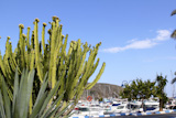 Moraira+marina+port+view+from+cactus+in+Alicante+province+Spain