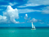 Sailing+in+paradise.