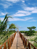 Walkway+to+tropical+beach.