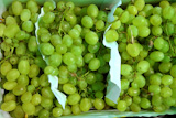 muscat+moscatel+grape+fruit+clusters+in+market