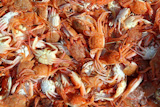 Mediterranean+red+crab+pattern+seafood+market+texture