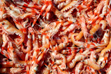 Crayfish+Nephrops+Norvegicus+many+seafood+market+catch