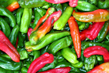 green+red+pepper+pattenr+coloful+vegetables+background+pattern