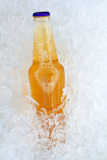 Beer+bottle+on+ice+fresh+frosted+glass+transparency