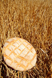 Bread+bun+round+on+golden+wheat+straw+background