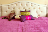 diamond+upholstery+buttons+bed+head+pink+blanket+colorful+pillows