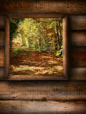 Fall+landscape+view+through+a+pine+window