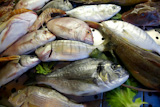 A+selection+of+various+fresh+fish+on+fishmarket