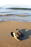Flipflops+on+a+sandy+ocean+beach+-+summer+vacation+concept%3B+vertical+frame