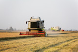 Modern+combine+harvester+in+a+rice+field+during+harvest+time%2C+piemonte%2C+Italy.
