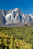 Mountain+landscape%3A+larch+woods+over+high+mountain+peak+%28Grand+Jourasses%2C+Mont+Blanc%2C+italian+Alps%29%2C+vertical+frame%2C+fall+season.