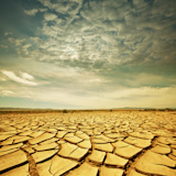 Drought+lands