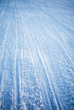 Snowmobile+Track+Texture