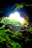 Lush+Cave+Entrance