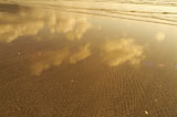 Clouds+Reflected+In+Tidal+Waters