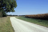 Curving+Road+Alongside+a+Corn+Field
