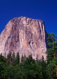 Huge+Rock+Towering+Over+A+Forest