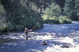 Cowboy+Fly+Fishing+In+A+Mountain+River