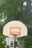 Basketball+Hoop+With+Trees+in+Background