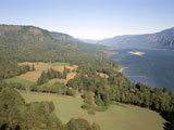 Fields+and+Forests+in+Columbia+River+Gorge