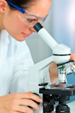A+beautiful+female+medical+or+scientific+researcher+using+her+microscope+in+a+laboratory.